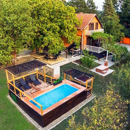 Villa Dijana - Pool, Spa, Outdoor Kitchen เบลเกรด ภายนอก รูปภาพ